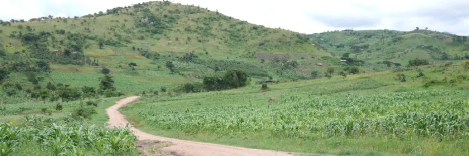 Rwenzori e.V. - Projekte zur ländlichen Entwicklung in Uganda